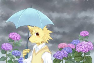 傘と紫陽花と高校生。